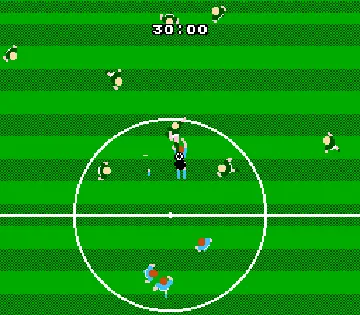 Tecmo World Cup Soccer (Japan) screen shot game playing